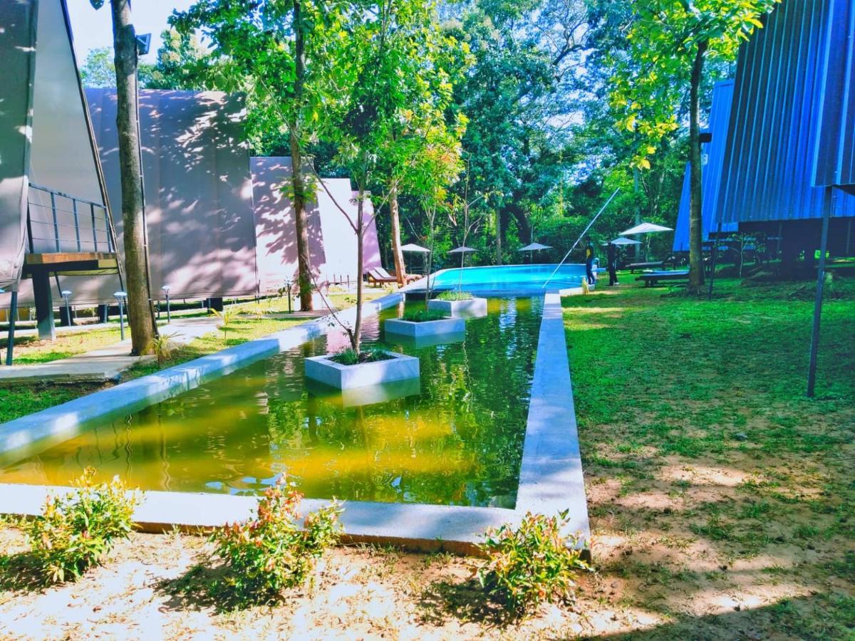 אודוואלאווה Kottawatta River Bank Resort מראה חיצוני תמונה